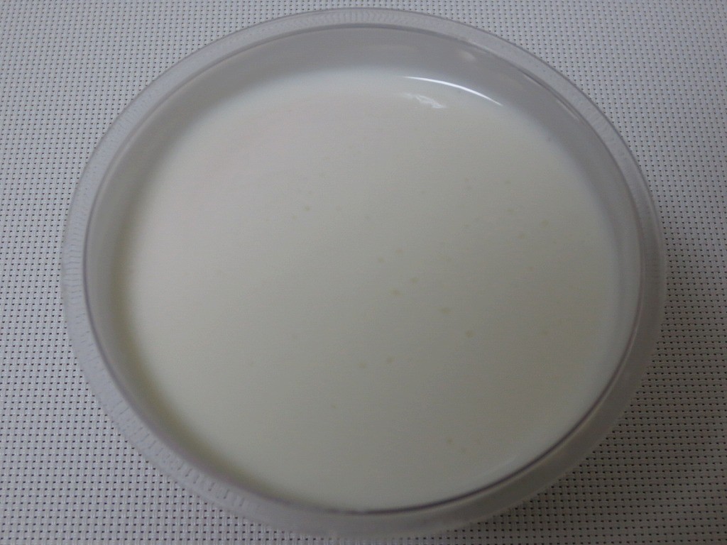 strawberry pudding_2