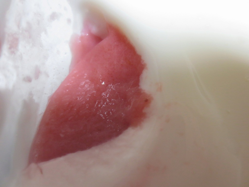 strawberry pudding_4